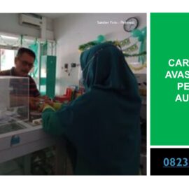 Cara Terapi Avasin Bantu Penyakit Autoimun