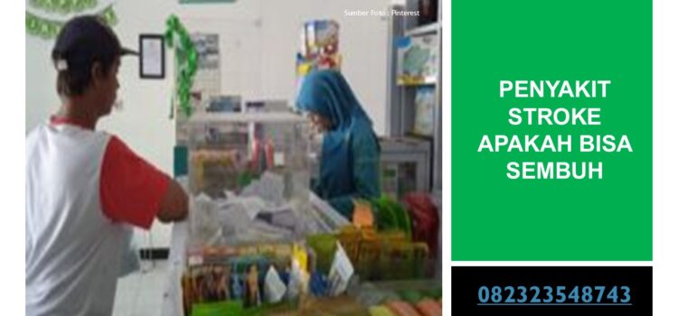 Penyakit Stroke Apakah Bisa Sembuh