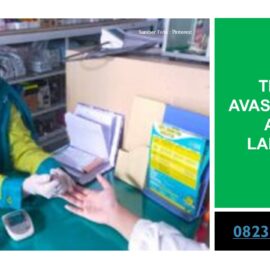 Terapi Avasin Untuk Asam Lambung